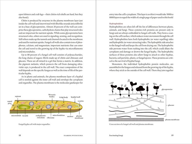 Produktbild: Teaming with Fungi