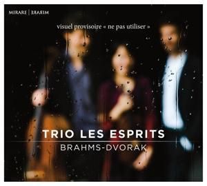 Produktbild: Piano Trio n&oslash;1 in B Major Opus 8
