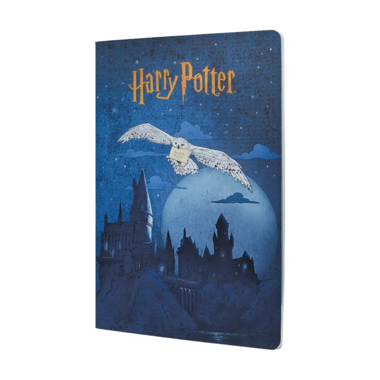 Produktbild: Notizheft, Aufbruch nach Hogwarts, A4, Kariert