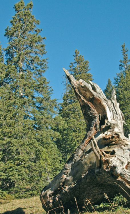 Produktbild: Die sch&ouml;nsten Bergwanderungen in Vorarlberg