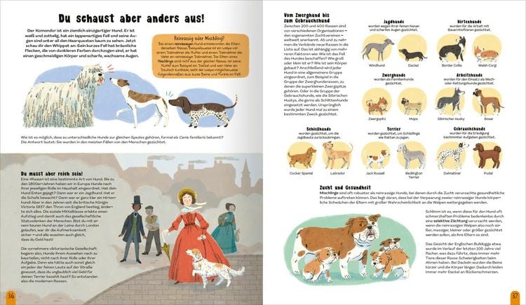 Produktbild: Die Welt der Hunde