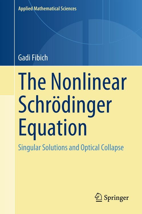 Produktbild: The Nonlinear Schr&ouml;dinger Equation