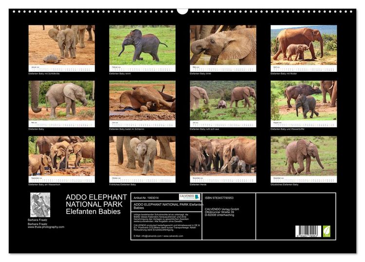 Produktbild: ADDO ELEPHANT NATIONAL PARK Elefanten Babies (Wandkalender 2026 DIN A2 quer), CALVENDO Monatskalender