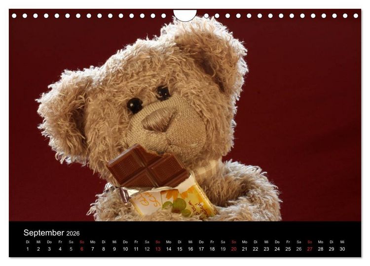 Produktbild: Herr Nopf ist da! (Wandkalender 2026 DIN A4 quer), CALVENDO Monatskalender