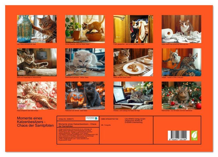 Produktbild: Momente eines Katzenbesitzers - Chaos der Samtpfoten (Wandkalender 2026 DIN A3 quer), CALVENDO Monatskalender