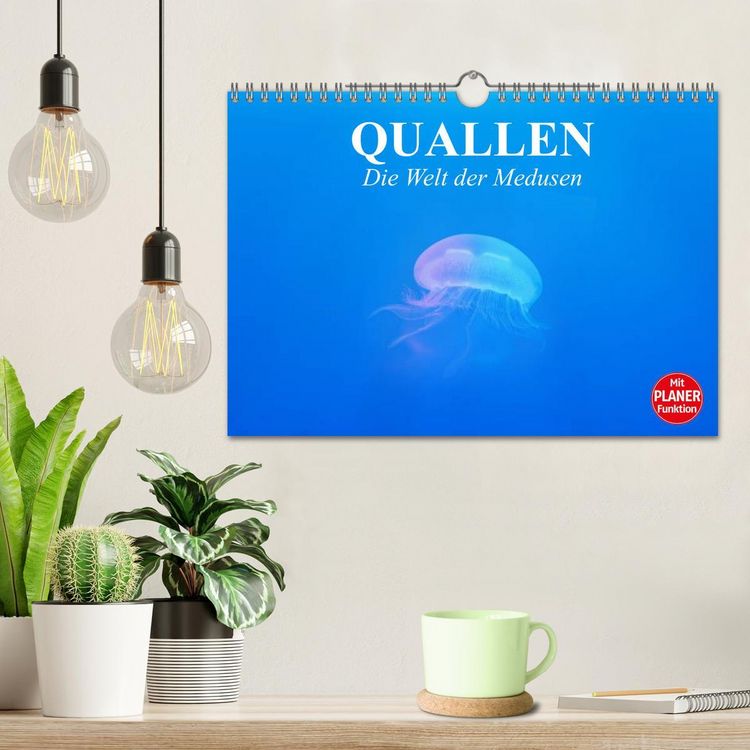 Produktbild: Quallen. Die Welt der Medusen (Wandkalender 2026 DIN A4 quer), CALVENDO Monatskalender