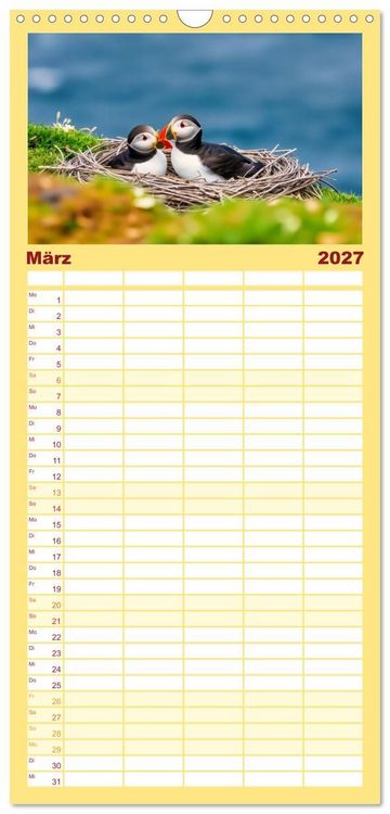 Produktbild: Familienplaner 2027 - Tieftaucher Papageitaucher mit 5 Spalten (Wandkalender, 21 x 45 cm) CALVENDO