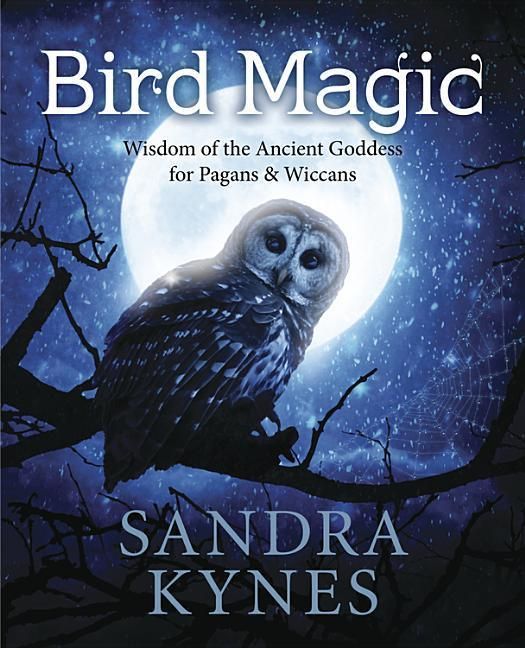 Produktbild: Bird Magic
