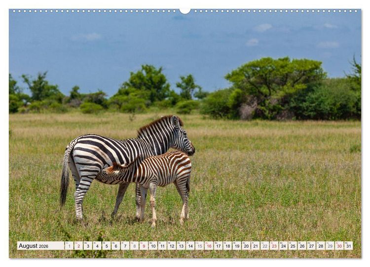 Produktbild: Wildnis Okavango-Delta (hochwertiger Premium Wandkalender 2026 DIN A2 quer), Kunstdruck in Hochglanz