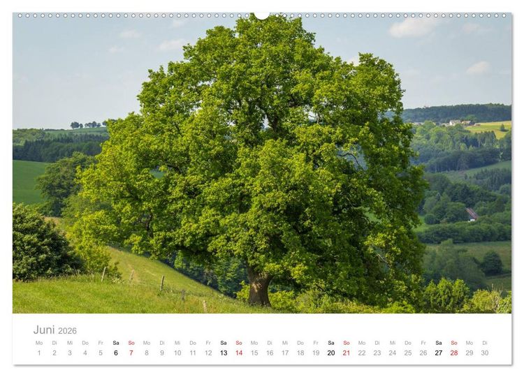 Produktbild: M&auml;rkisches Sauerland (Wandkalender 2026 DIN A2 quer), CALVENDO Monatskalender