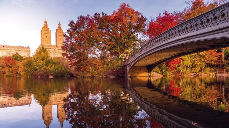Produktbild: New York