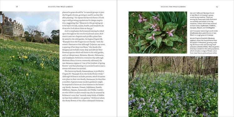Produktbild: The Wild Garden