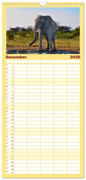 Produktbild: Familienplaner 2026 - S&uuml;dafrika - Big 5 und mehr mit 5 Spalten (Wandkalender, 21 x 45 cm) CALVENDO