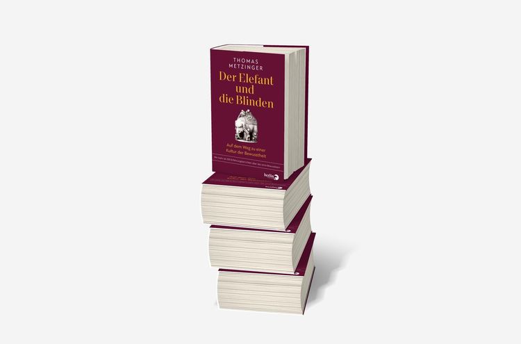 Produktbild: Der Elefant und die Blinden