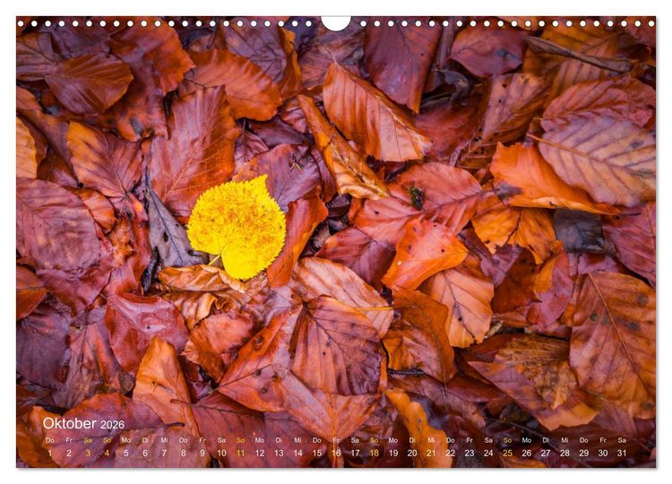 Produktbild: Landschaften und Natur 2026 (Wandkalender 2026 DIN A3 quer), CALVENDO Monatskalender