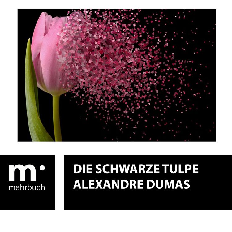Produktbild: Die schwarze Tulpe