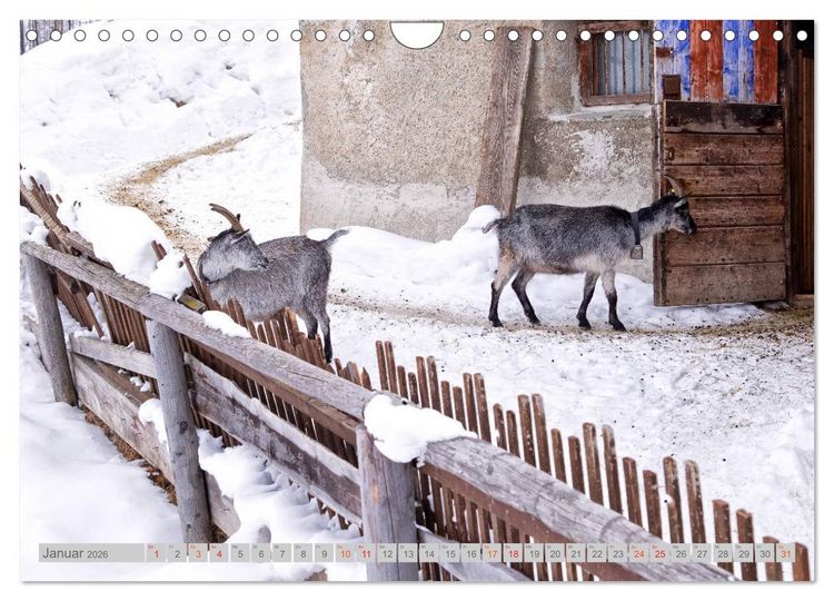 Produktbild: Bergell - Bergaglia (Wandkalender 2026 DIN A4 quer), CALVENDO Monatskalender