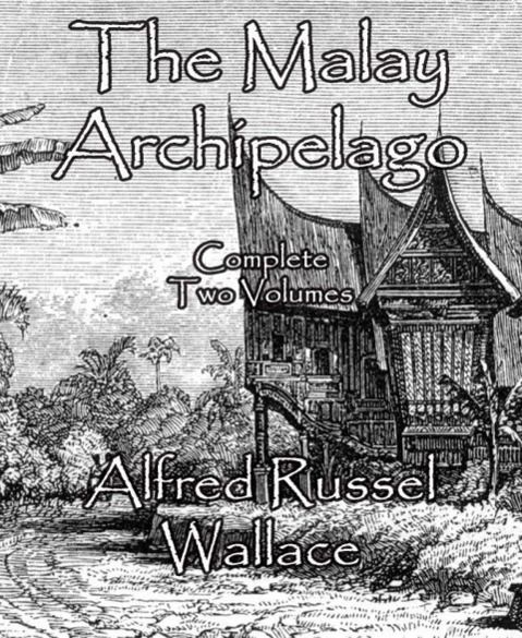 Produktbild: The Malay Archipelago