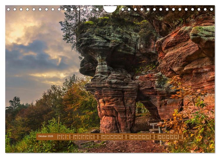 Produktbild: Magischer Pf&auml;lzer Wald (Wandkalender 2026 DIN A4 quer), CALVENDO Monatskalender