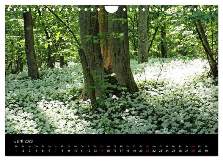 Produktbild: Himmel &uuml;ber Rheinhessen (Wandkalender 2026 DIN A4 quer), CALVENDO Monatskalender