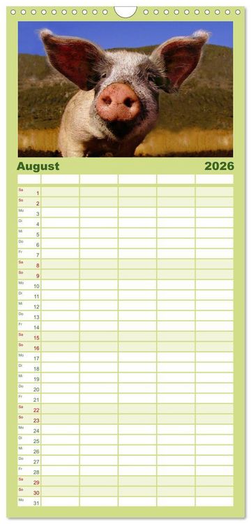 Produktbild: Familienplaner 2026 - Muh, M&auml;h, Miau & Co mit 5 Spalten (Wandkalender, 21 x 45 cm) CALVENDO
