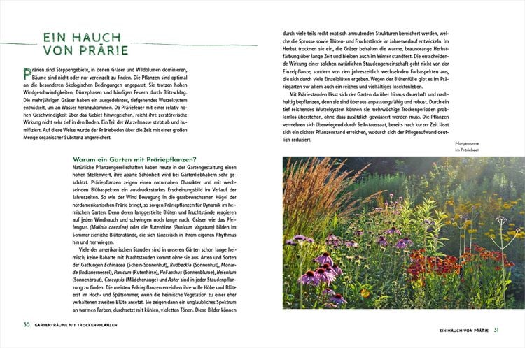 Produktbild: Die sch&ouml;nsten Pflanzen, die wenig Wasser brauchen f&uuml;r Garten, Balkon und Terrasse