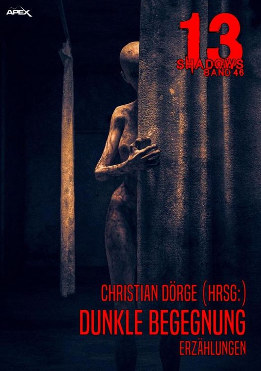 Produktbild: 13 Shadows, Band 46: Dunkle Begegnung