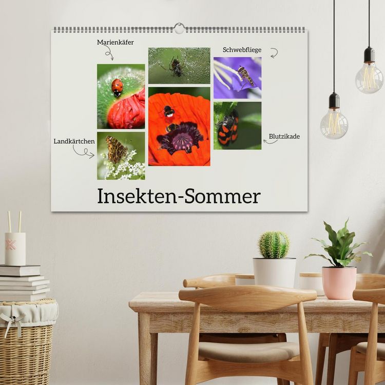 Produktbild: Insekten-Sommer (Wandkalender 2026 DIN A2 quer), CALVENDO Monatskalender