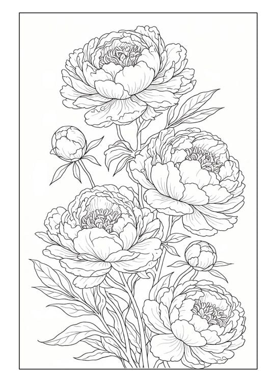 Produktbild: Blumen Malbuch f&uuml;r Erwachsene mit 50 sch&ouml;nen Ausmalmotiven