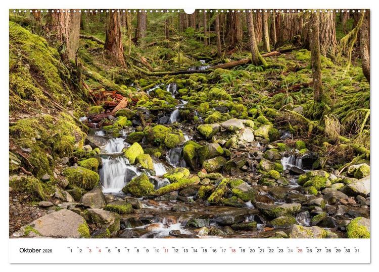 Produktbild: The Olympic National Park - Washington USA (hochwertiger Premium Wandkalender 2026 DIN A2 quer), Kunstdruck in Hochglanz