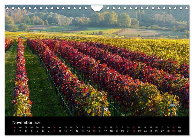 Produktbild: Sommerach - Perle der Mainschleife (Wandkalender 2026 DIN A4 quer), CALVENDO Monatskalender