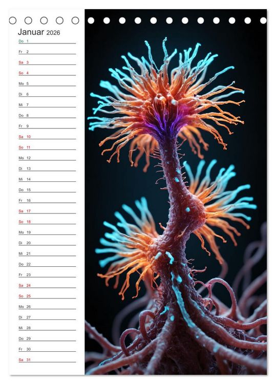 Produktbild: Leuchtende Mikroflora (Tischkalender 2026 DIN A5 hoch), CALVENDO Monatskalender