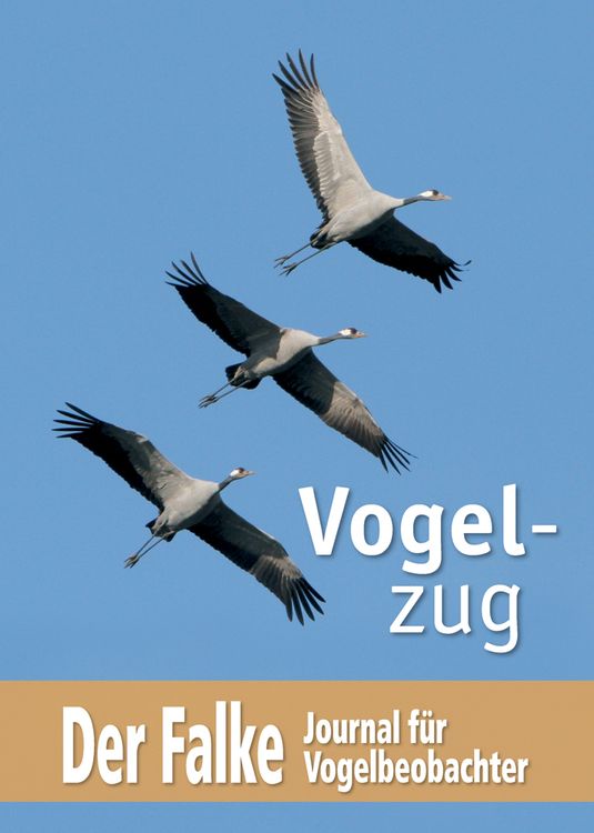 Produktbild: Der Falke &ndash; Sonderheft Vogelzug