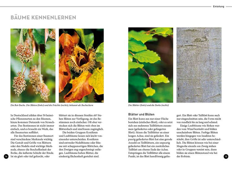 Produktbild: Lieblingsb&auml;ume