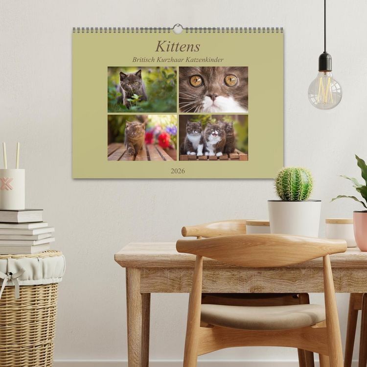 Produktbild: Kittens - Britisch Kurzhaar Katzenkinder (Wandkalender 2026 DIN A3 quer), CALVENDO Monatskalender