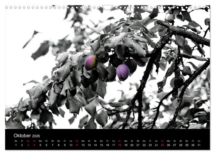 Produktbild: Farbtupfer (Wandkalender 2026 DIN A3 quer), CALVENDO Monatskalender
