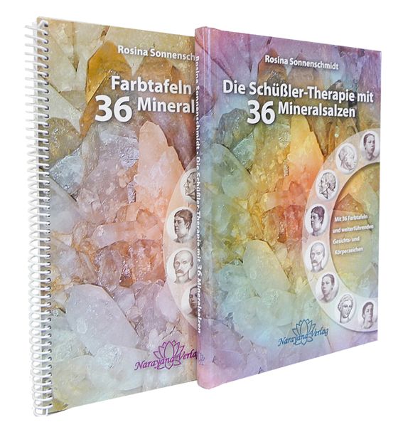 Produktbild: Die Sch&uuml;&szlig;ler-Therapie mit 36 Mineralsalzen
