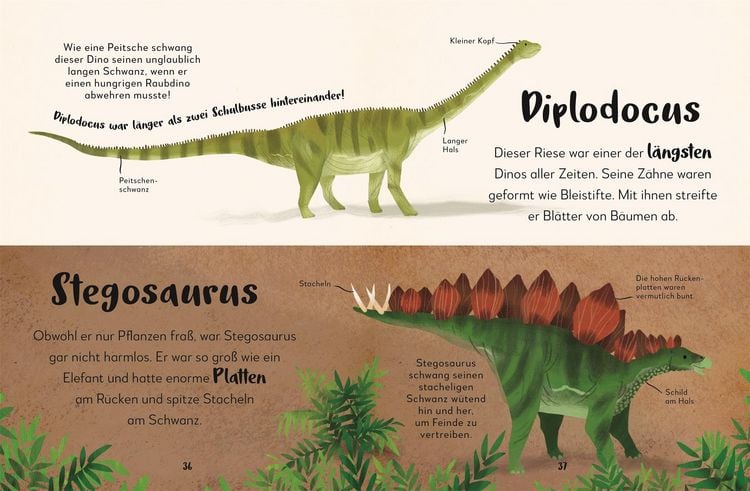 Produktbild: Mein liebstes Buch der Dinosaurier und anderer Lebewesen der Urzeit