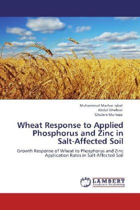 Produktbild: Iqbal, M: Wheat Response to Applied Phosphorus and Zinc in S