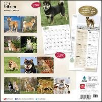 Produktbild: Shiba Inu