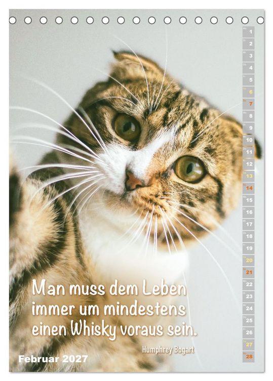 Produktbild: Der literarische Katerkalender (Tischkalender 2027 DIN A5 hoch), CALVENDO Monatskalender