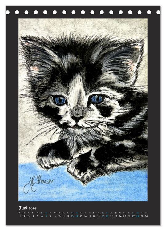Produktbild: PortraiTierART Samtpf&ouml;tchen (Tischkalender 2026 DIN A5 hoch), CALVENDO Monatskalender