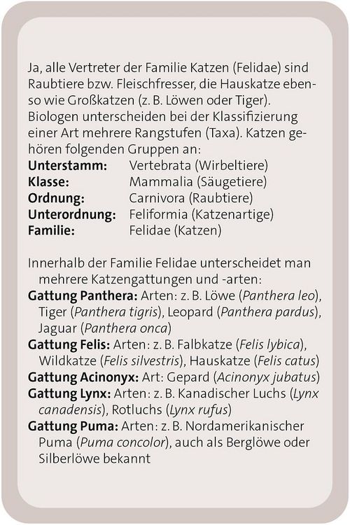 Produktbild: Das gro&szlig;e Katzen Quiz
