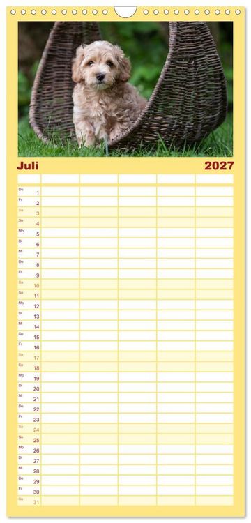 Produktbild: Familienplaner 2027 - Maltipoo Welpen mit 5 Spalten (Wandkalender, 21 x 45 cm) CALVENDO
