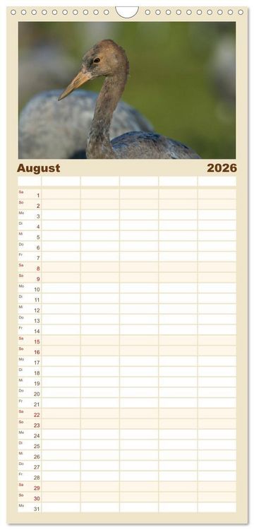 Produktbild: Familienplaner 2026 - Mit Kranichen durch das Jahr mit 5 Spalten (Wandkalender, 21 x 45 cm) CALVENDO