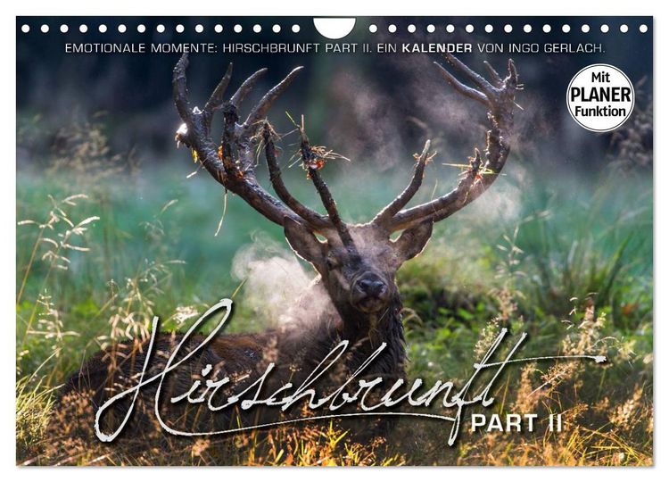 Produktbild: Emotionale Momente: Hirschbrunft. Part II. (Wandkalender 2026 DIN A4 quer), CALVENDO Monatskalender