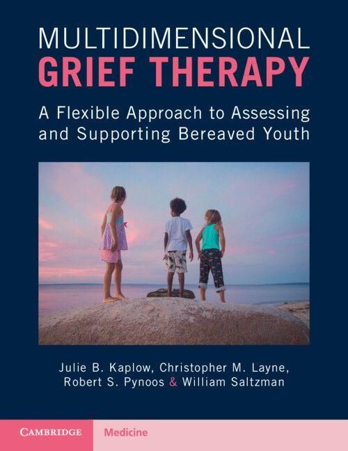 Produktbild: Multidimensional Grief Therapy