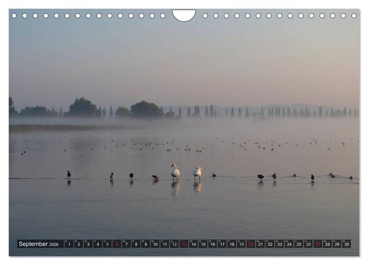 Produktbild: Zauberhafter Bodensee (Wandkalender 2026 DIN A4 quer), CALVENDO Monatskalender