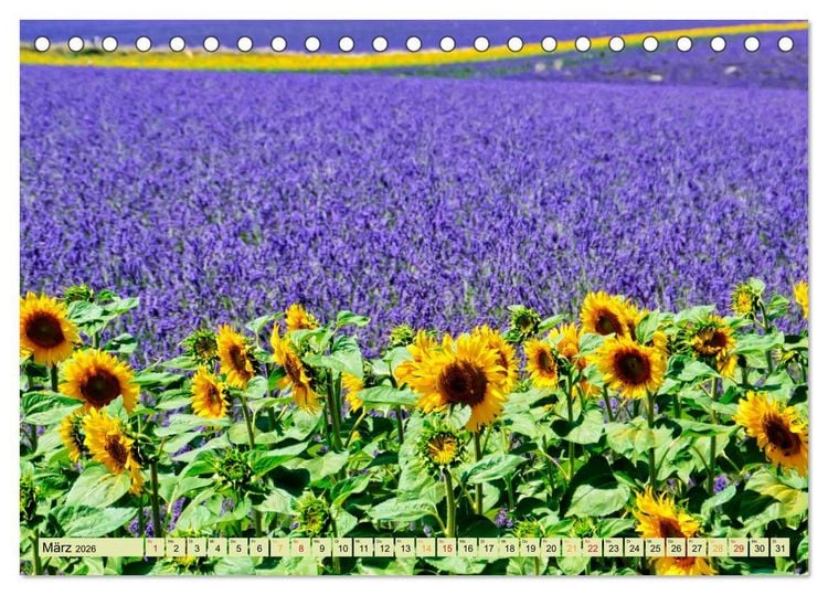 Produktbild: Traum-Ziele - Lavendel der Provence, Frankreich (Tischkalender 2026 DIN A5 quer), CALVENDO Monatskalender