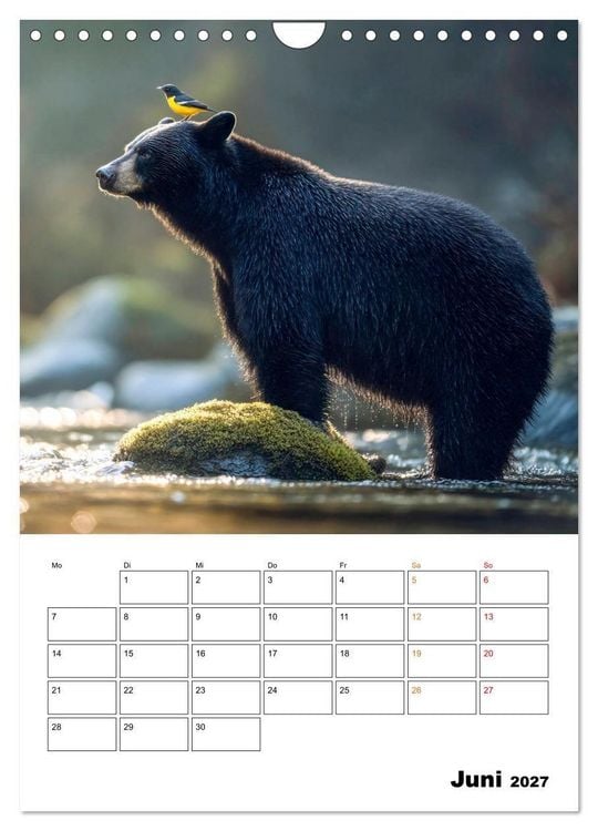 Produktbild: Ein Herz und eine Schnauze - Ein tierisch buntes Miteinander (Wandkalender 2027 DIN A4 hoch), CALVENDO Monatskalender
